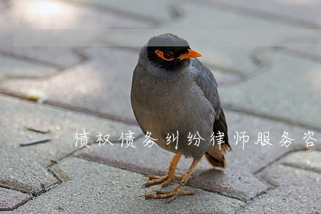 债权债务纠纷律师服务咨询 债权债务纠纷律师服务咨询