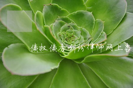 债权债务纠纷律师网上咨询 债权债务纠纷律师网上咨询