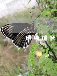 债权债务纠纷律师费多少 债权债务纠纷律师费多少