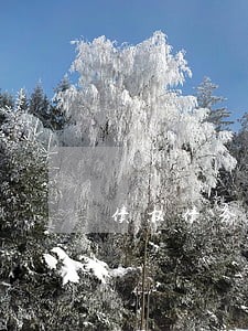 债权债务纠纷诉讼律师如何选择 债权债务纠纷诉讼律师如何选择