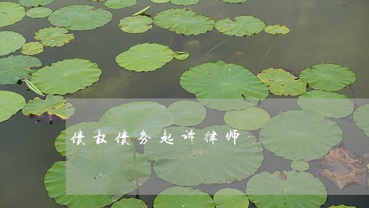 债权债务起诉律师 债权债务起诉律师