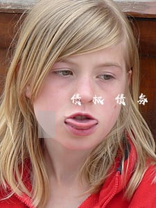 债权债务辩护律师多少钱