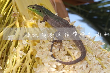债权债务追讨律师咨询纠纷 债权债务追讨律师咨询纠纷