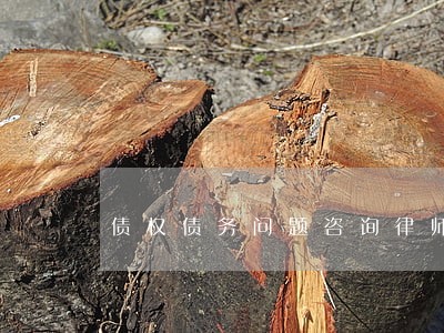 债权债务问题咨询律师 债权债务问题咨询律师