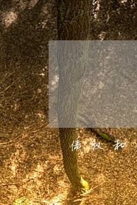 债权和债务律师 债权和债务律师
