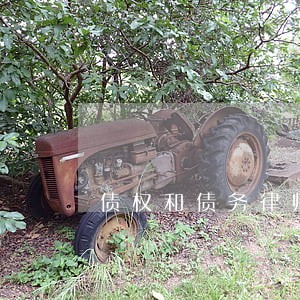 债权和债务律师定义和作用 债权和债务律师定义和作用