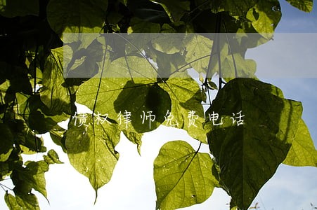 债权律师免费电话