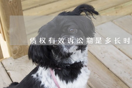 债权有效诉讼期是多长时间 债权有效诉讼期是多长时间