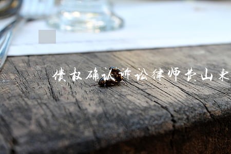 债权确认诉讼律师费山东