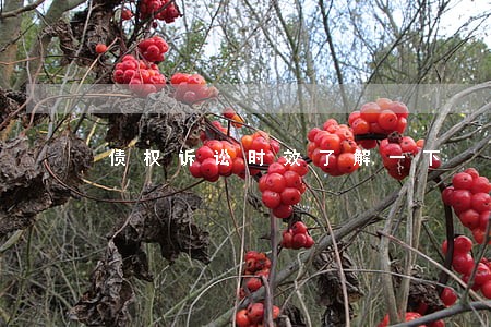 债权诉讼时效了解一下