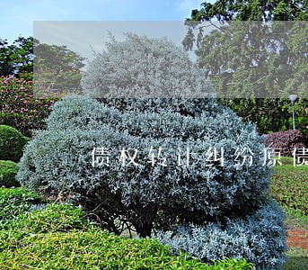 债权转让纠纷原债权人的诉讼地位 债权转让纠纷原债权人的诉讼地位