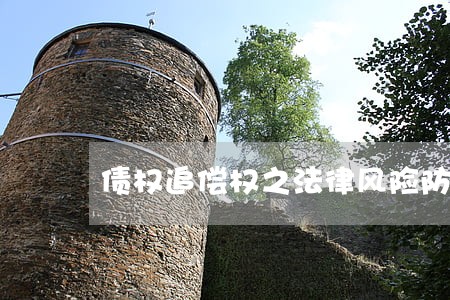 债权追偿权之法律风险防控 债权追偿权之法律风险防控