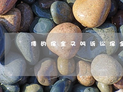 债的保全又叫诉讼保全 债的保全又叫诉讼保全