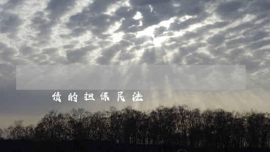 债的担保民法 债的担保民法