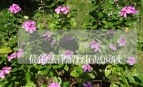 债的法律解释拓展阅读 债的法律解释拓展阅读