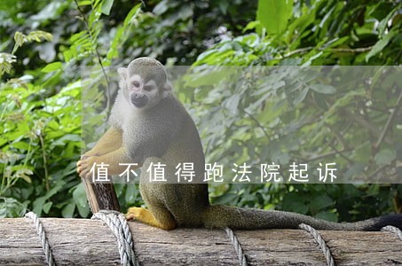 值不值得跑法院起诉 值不值得跑法院起诉