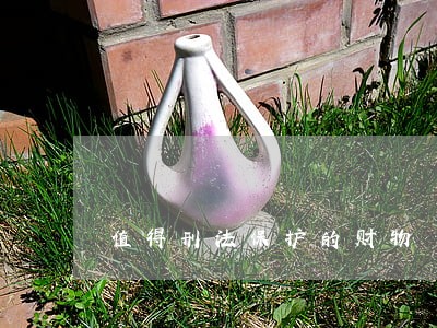 值得刑法保护的财物