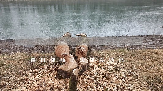 值班律师是法律援助吗 值班律师是法律援助吗