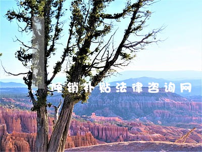 倾销补贴法律咨询网 倾销补贴法律咨询网
