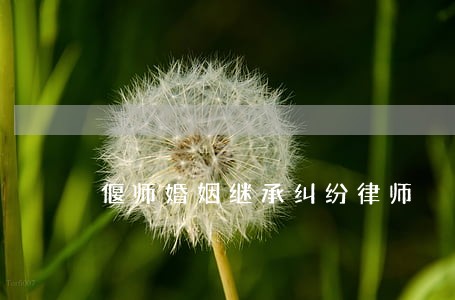 偃师婚姻继承纠纷律师 偃师婚姻继承纠纷律师