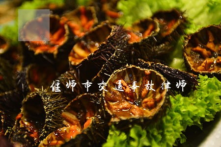 偃师市交通事故律师 偃师市交通事故律师