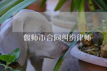 偃师市合同纠纷律师 偃师市合同纠纷律师
