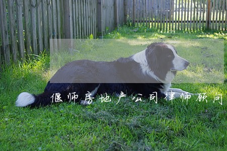 偃师房地产公司律师顾问 偃师房地产公司律师顾问