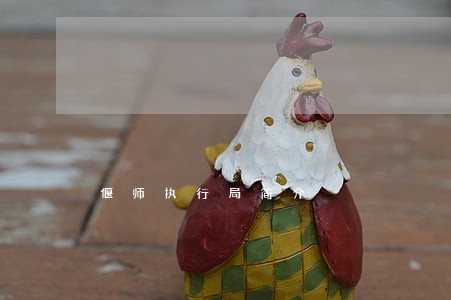 偃师执行局简介