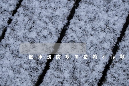 偃师法院寒冬猎赖不停歇 偃师法院寒冬猎赖不停歇