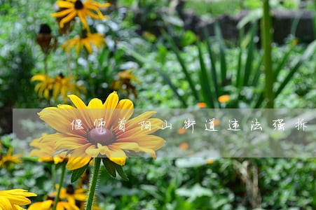 偃师首阳山街道违法强拆民房 偃师首阳山街道违法强拆民房