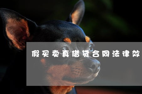 假买卖真借贷合同法律效力 假买卖真借贷合同法律效力