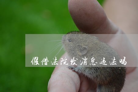 假借法院发消息违法吗 假借法院发消息违法吗