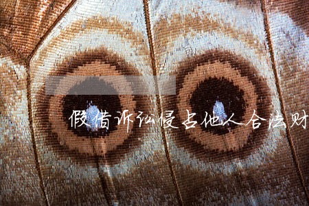 假借诉讼侵占他人合法财产 假借诉讼侵占他人合法财产