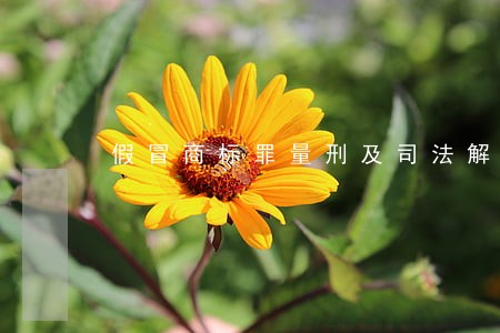 假冒商标罪量刑及司法解释 假冒商标罪量刑及司法解释