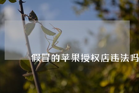 假冒的苹果授权店违法吗 假冒的苹果授权店违法吗