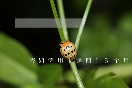 假如信用卡逾期15个月 假如信用卡逾期15个月