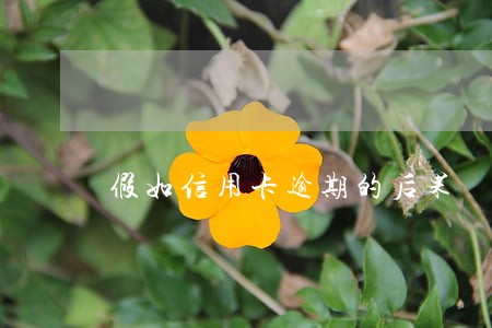 假如信用卡逾期的后果 假如信用卡逾期的后果