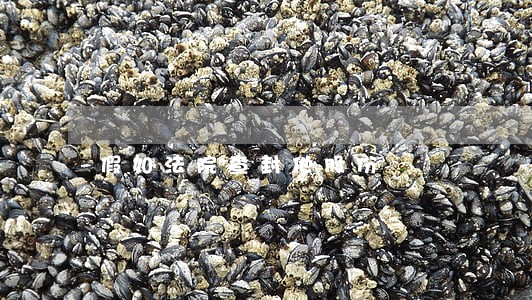 假如法院查封他股份 假如法院查封他股份