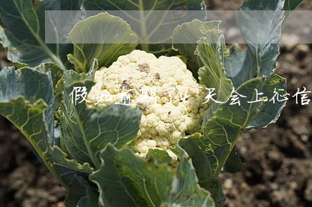 假如逾期了4天会上征信吗 假如逾期了4天会上征信吗