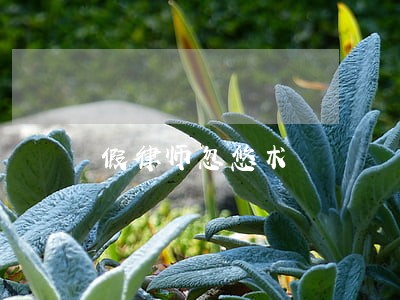 假律师忽悠术 假律师忽悠术