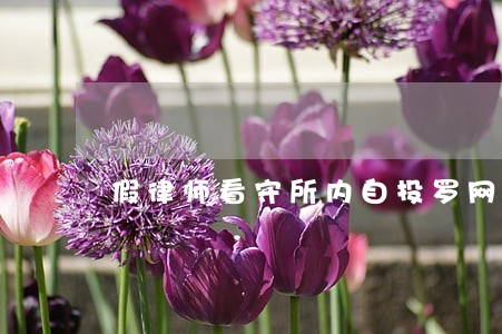 假律师看守所内自投罗网 假律师看守所内自投罗网