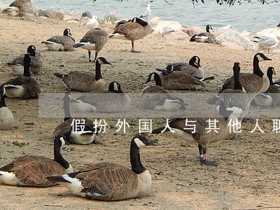 假扮外国人与其他人聊天算违法吗 假扮外国人与其他人聊天算违法吗