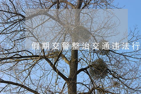 假期交警整治交通违法行为不停歇 假期交警整治交通违法行为不停歇
