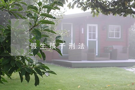 假生孩子刑法 假生孩子刑法
