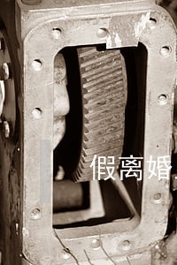 假离婚上热搜南昌 假离婚上热搜南昌