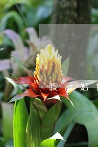 假离婚协议会有什么风险 假离婚协议会有什么风险