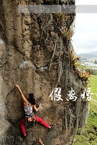 假离婚协议可以随便写吗 假离婚协议可以随便写吗
