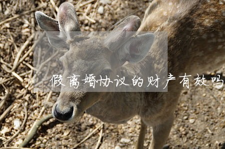 假离婚协议的财产有效吗 假离婚协议的财产有效吗