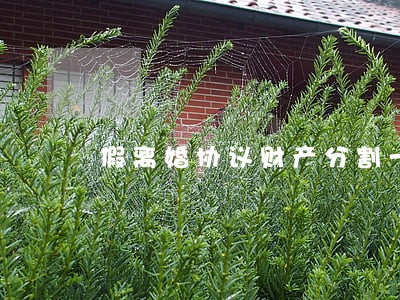 假离婚协议财产分割一半 假离婚协议财产分割一半