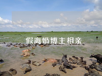 假离婚博主相亲 假离婚博主相亲